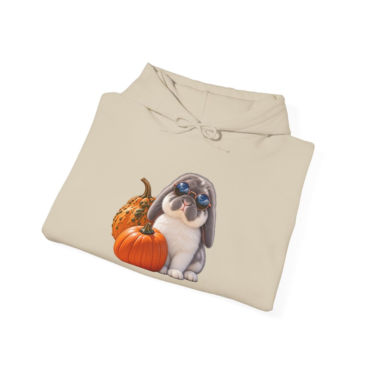 My Bunny Is My Boo™ Halloween Rabbit Hoodie | Fall Bunny Lover Sweatshirt