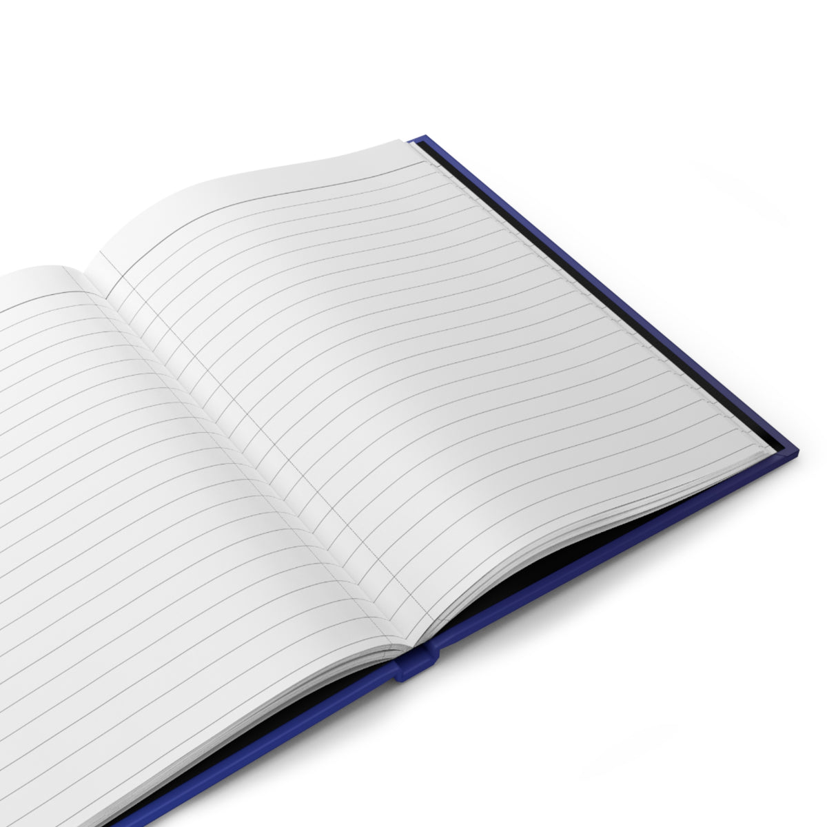Hardcover Lord Lem Journal