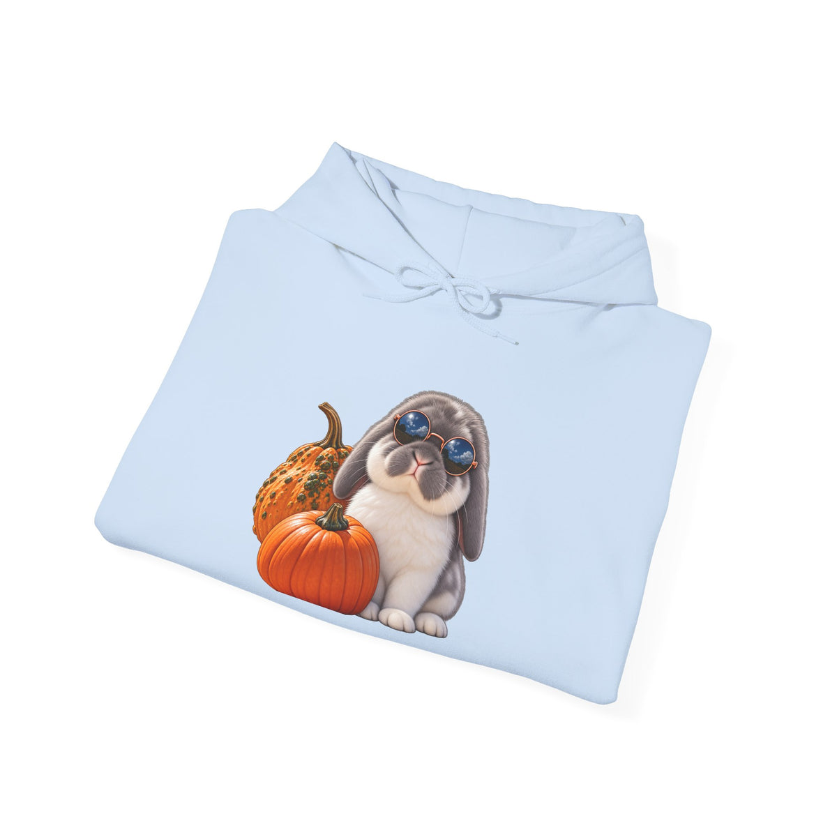 My Bunny Is My Boo™ Halloween Rabbit Hoodie | Fall Bunny Lover Sweatshirt